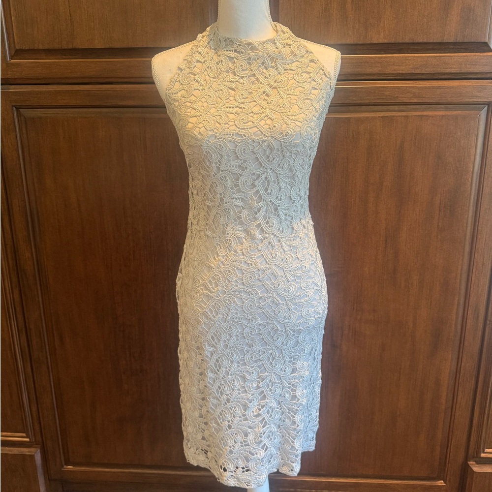 David Meister Silver Lace Dress